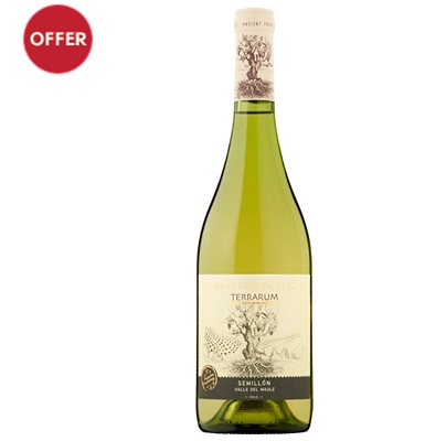 Morande Terrarum Semillon 3 Morande Terrarum Semillon